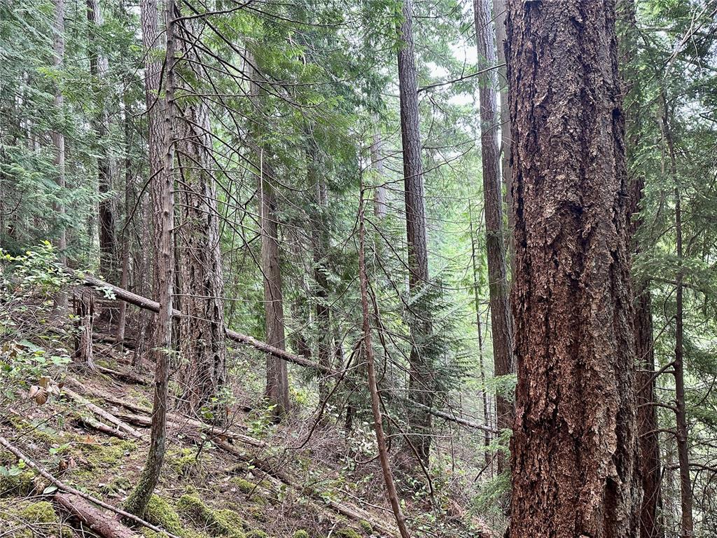 Lot A Whaletown Road, Cortes Island, BC, V0P 1Z0 - 9