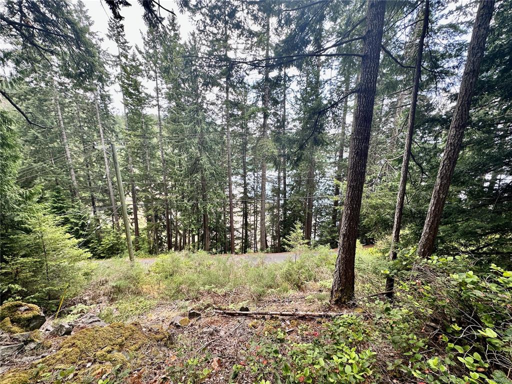 Lot A Whaletown Road, Cortes Island, BC, V0P 1Z0 - 10