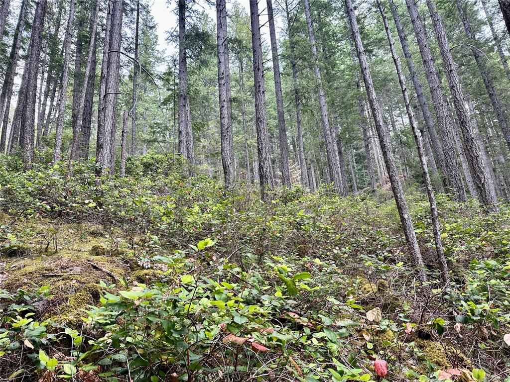 Lot A Whaletown Road, Cortes Island, BC, V0P 1Z0 - 11