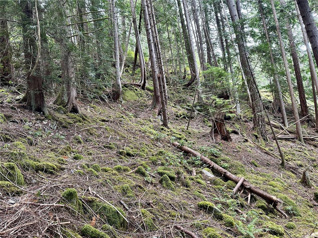 Lot A Whaletown Road, Cortes Island, BC, V0P 1Z0 - 12