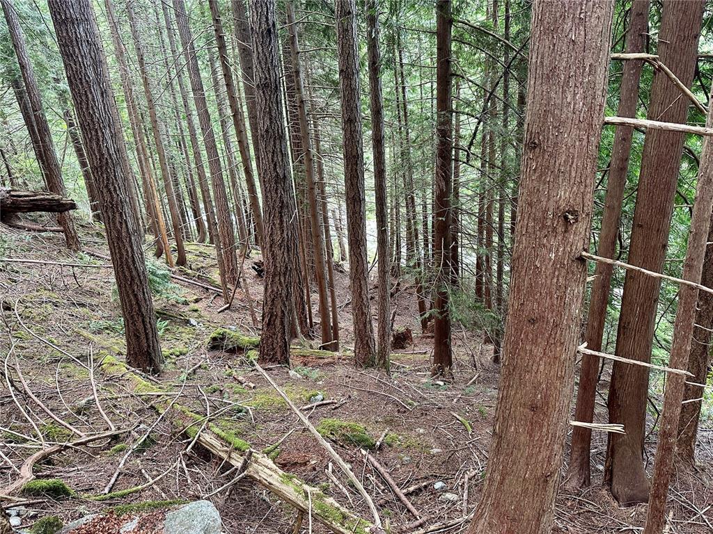 Lot A Whaletown Road, Cortes Island, BC, V0P 1Z0 - 13