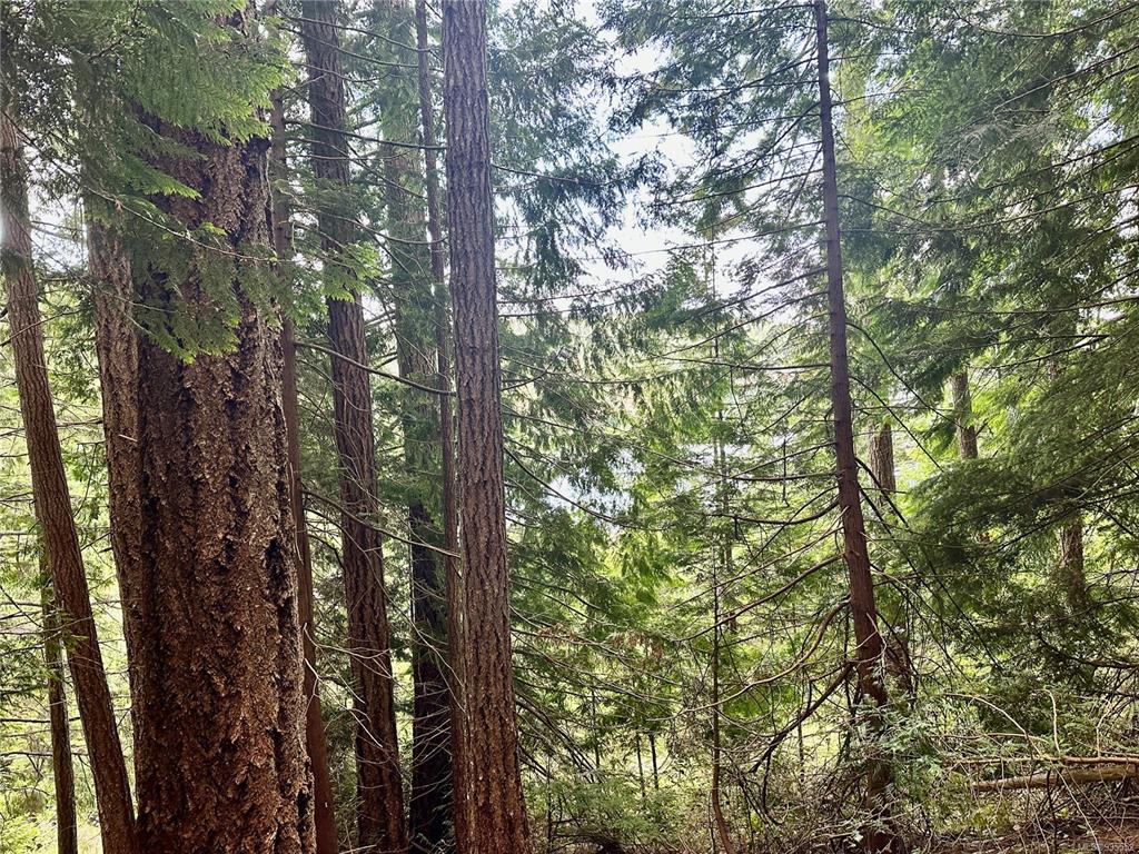 Lot A Whaletown Road, Cortes Island, BC, V0P 1Z0 - 14