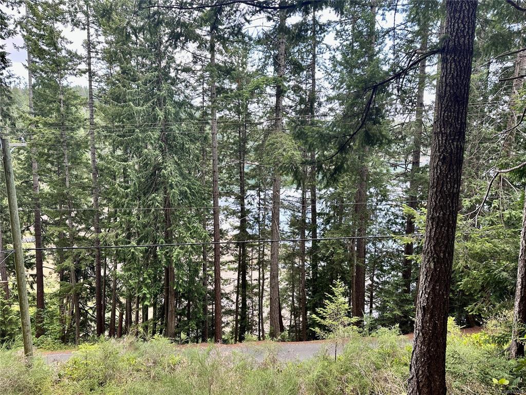 Lot A Whaletown Road, Cortes Island, BC, V0P 1Z0 - 15