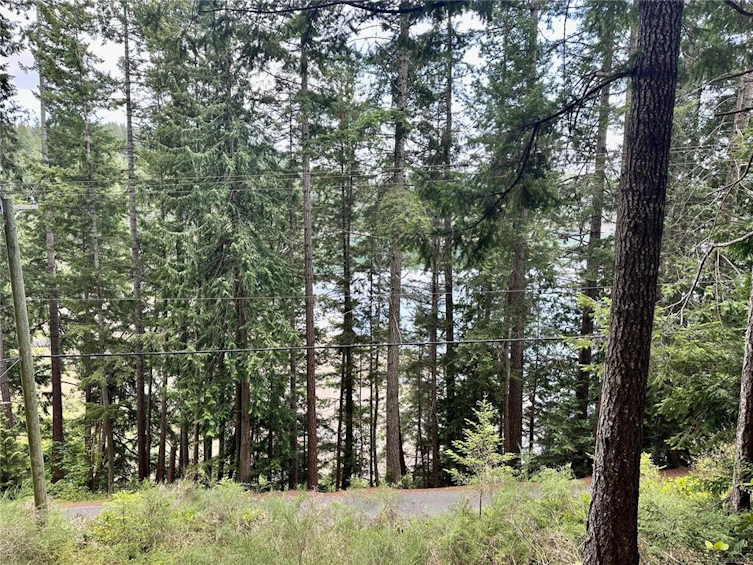 Lot A Whaletown Road, Cortes Island, BC, V0P 1Z0 - 15