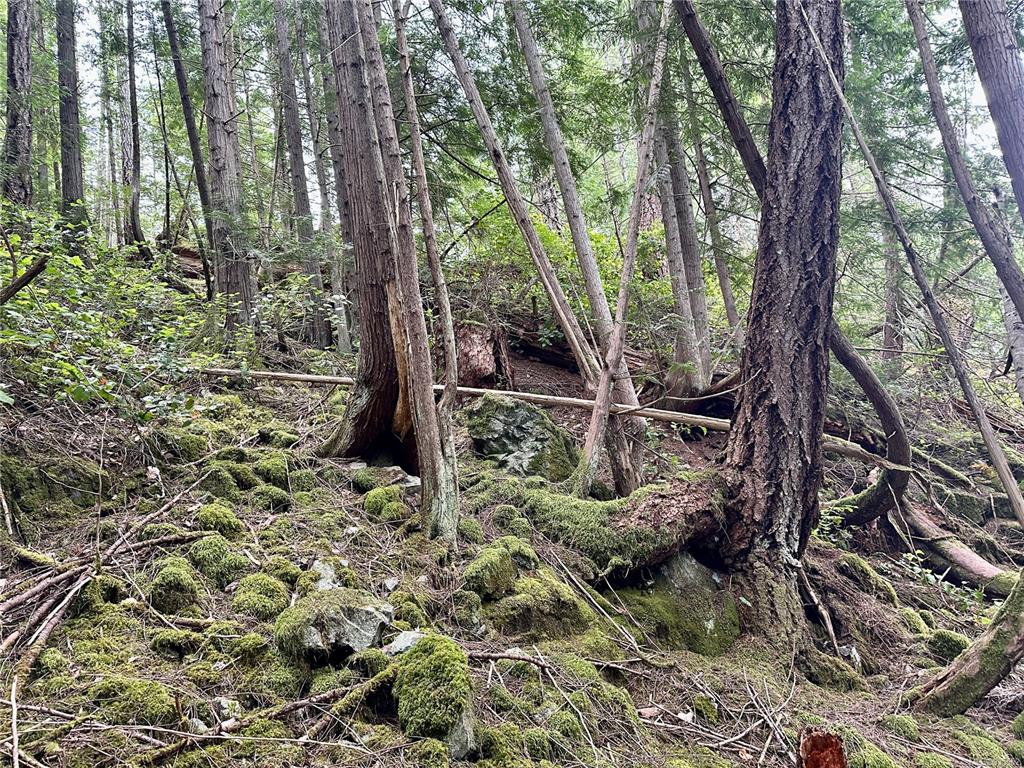 Lot A Whaletown Road, Cortes Island, BC, V0P 1Z0 - 16