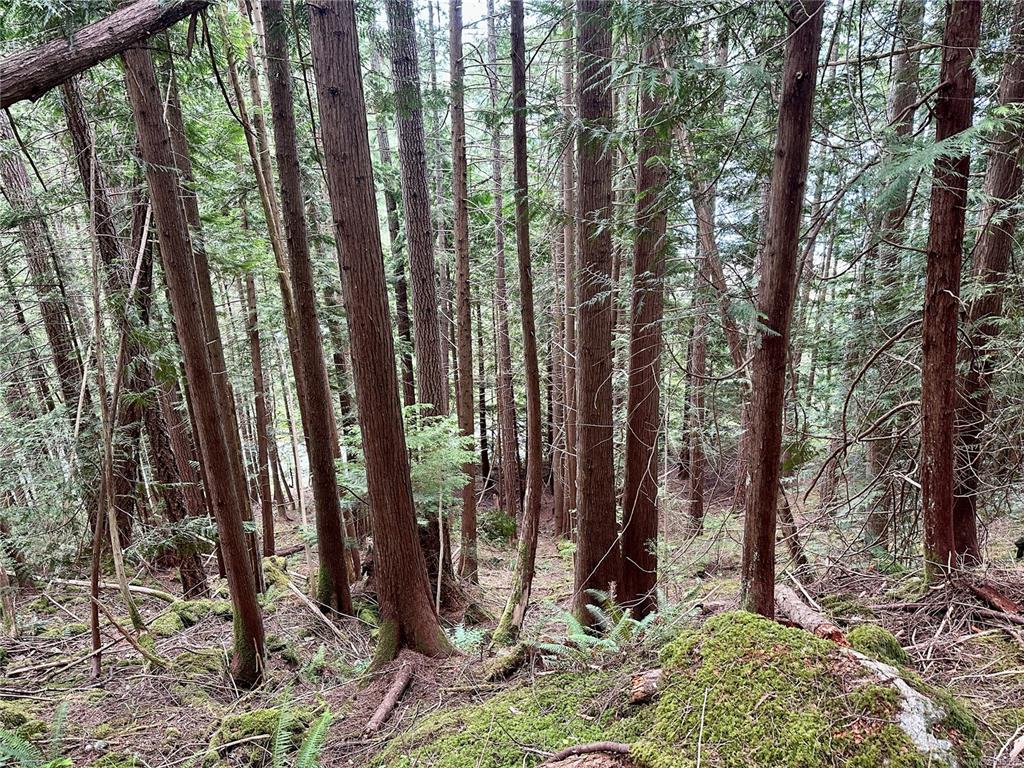 Lot A Whaletown Road, Cortes Island, BC, V0P 1Z0 - 17