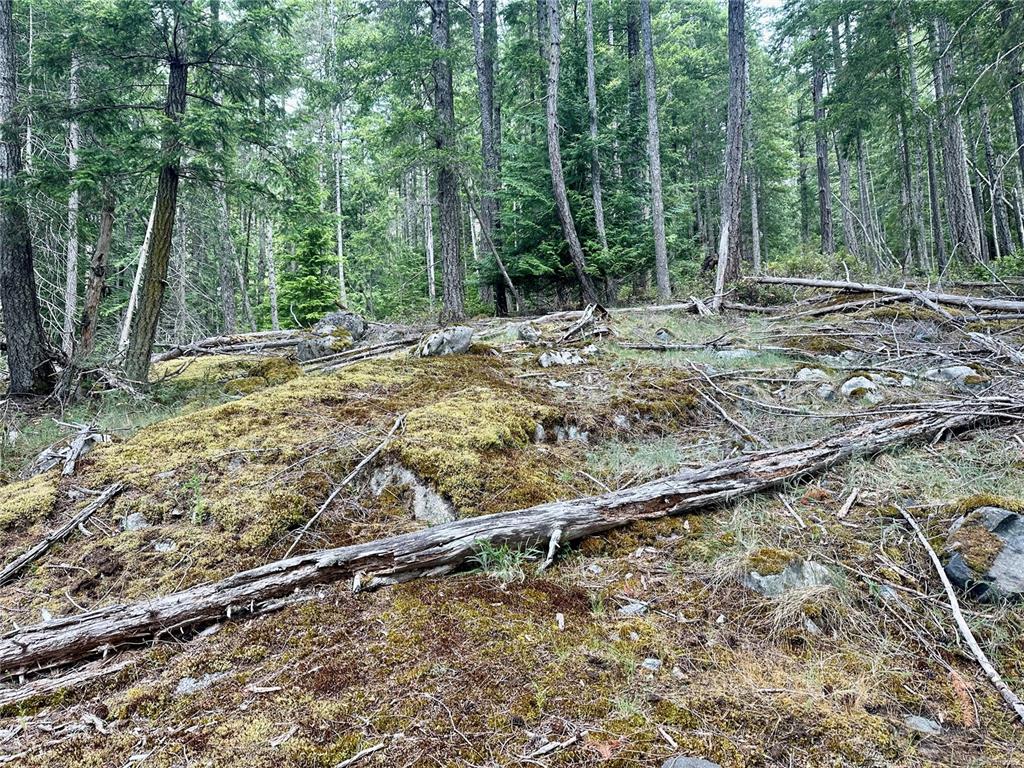 Lot A Whaletown Road, Cortes Island, BC, V0P 1Z0 - 18