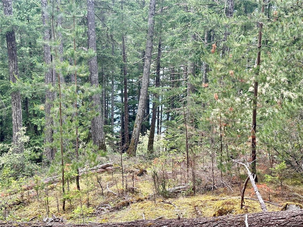 Lot A Whaletown Road, Cortes Island, BC, V0P 1Z0 - 19