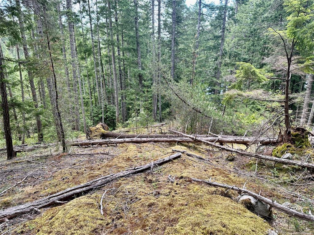 Lot A Whaletown Road, Cortes Island, BC, V0P 1Z0 - 20
