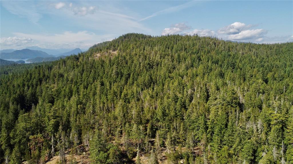 Lot A Whaletown Road, Cortes Island, BC, V0P 1Z0 - 22