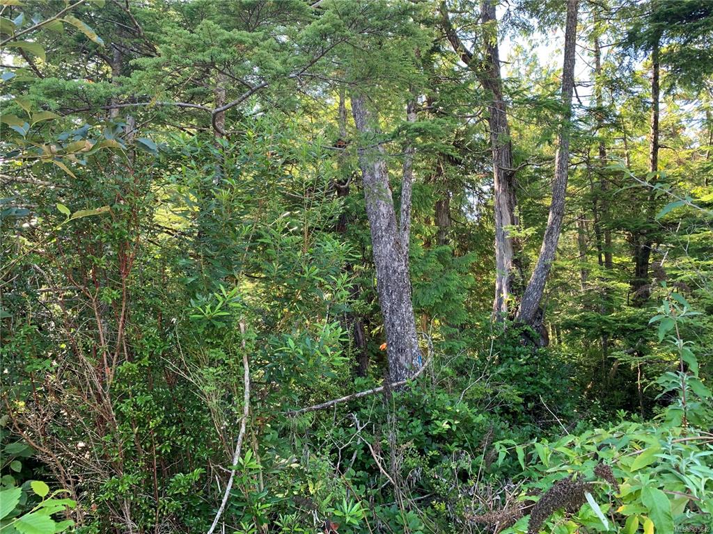 1797 Rainforest Lane, Ucluelet, BC, V0R 3A0 - 3