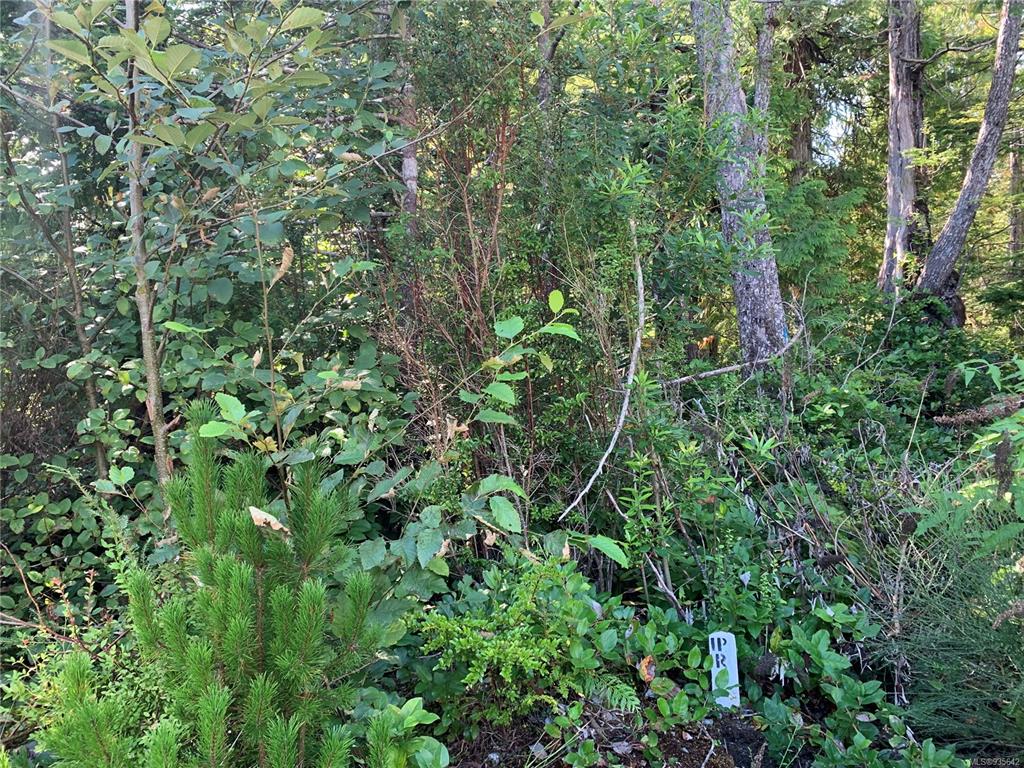 1797 Rainforest Lane, Ucluelet, BC, V0R 3A0 - 4