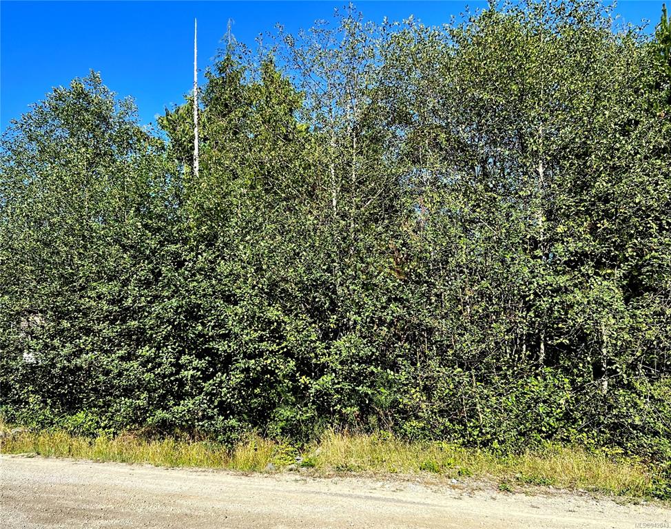 1130 Seventh Avenue, Port Alberni, BC, V0R 3A0 - 8