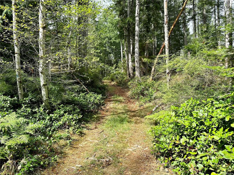 700 Whaletown Road, Cortes Island, BC, V0P 1Z0 - 5