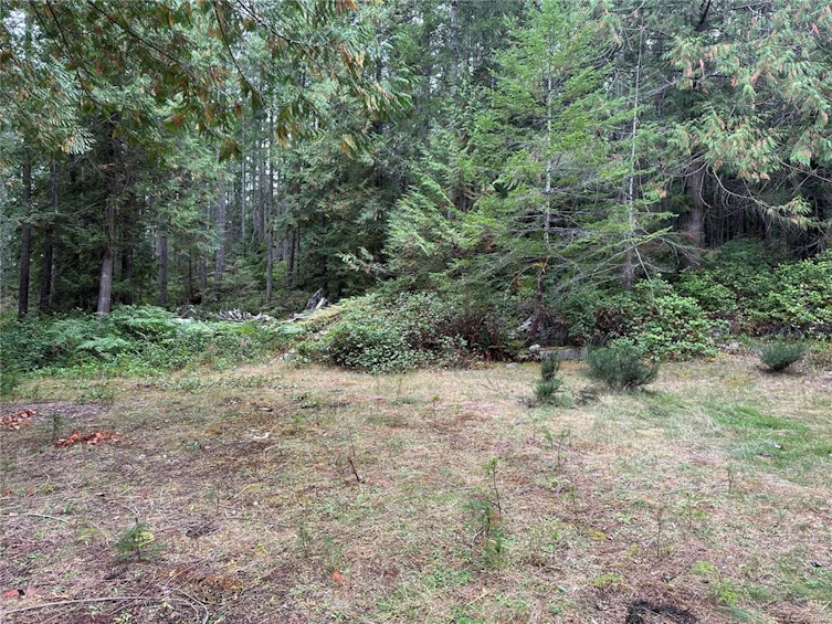 700 Whaletown Road, Cortes Island, BC, V0P 1Z0 - 8