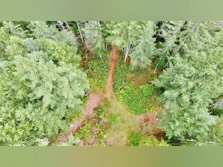 700 Whaletown Road, Cortes Island, BC, V0P 1Z0 - 16