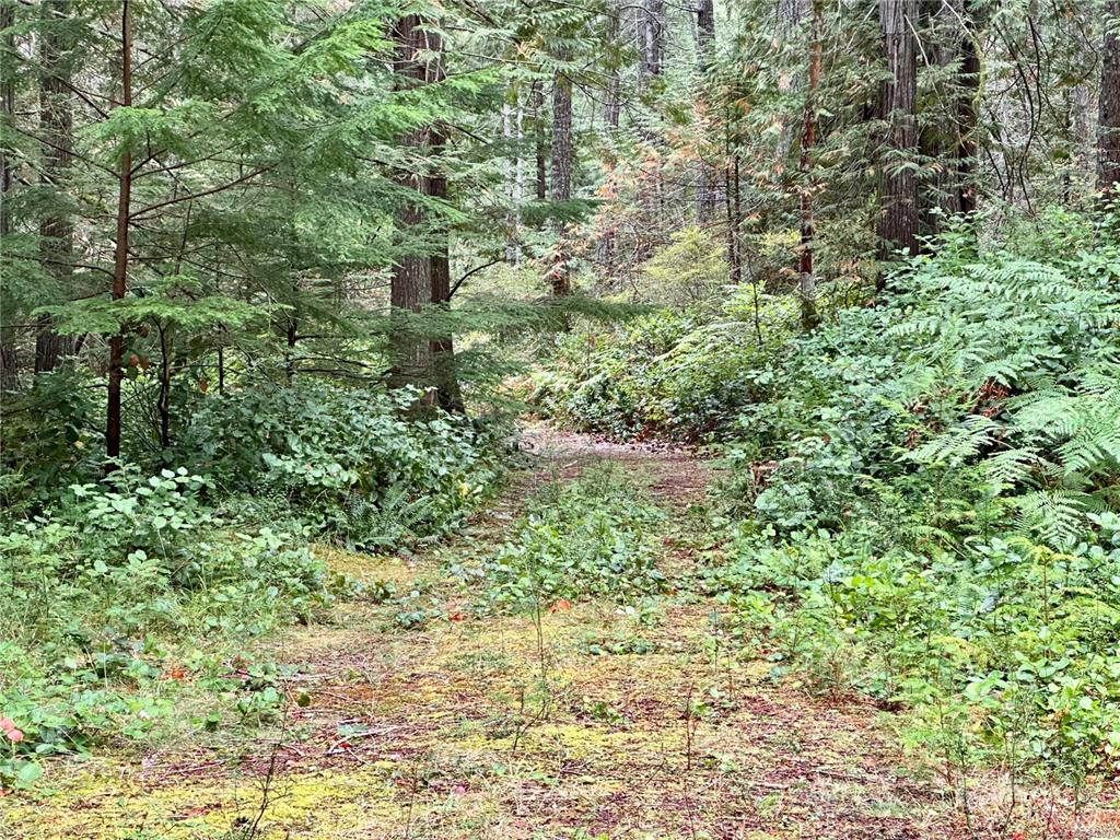 700 Whaletown Road, Cortes Island, BC, V0P 1Z0 - 20