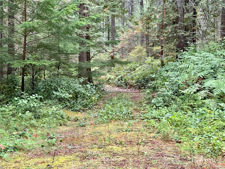 700 Whaletown Road, Cortes Island, BC, V0P 1Z0 - 20