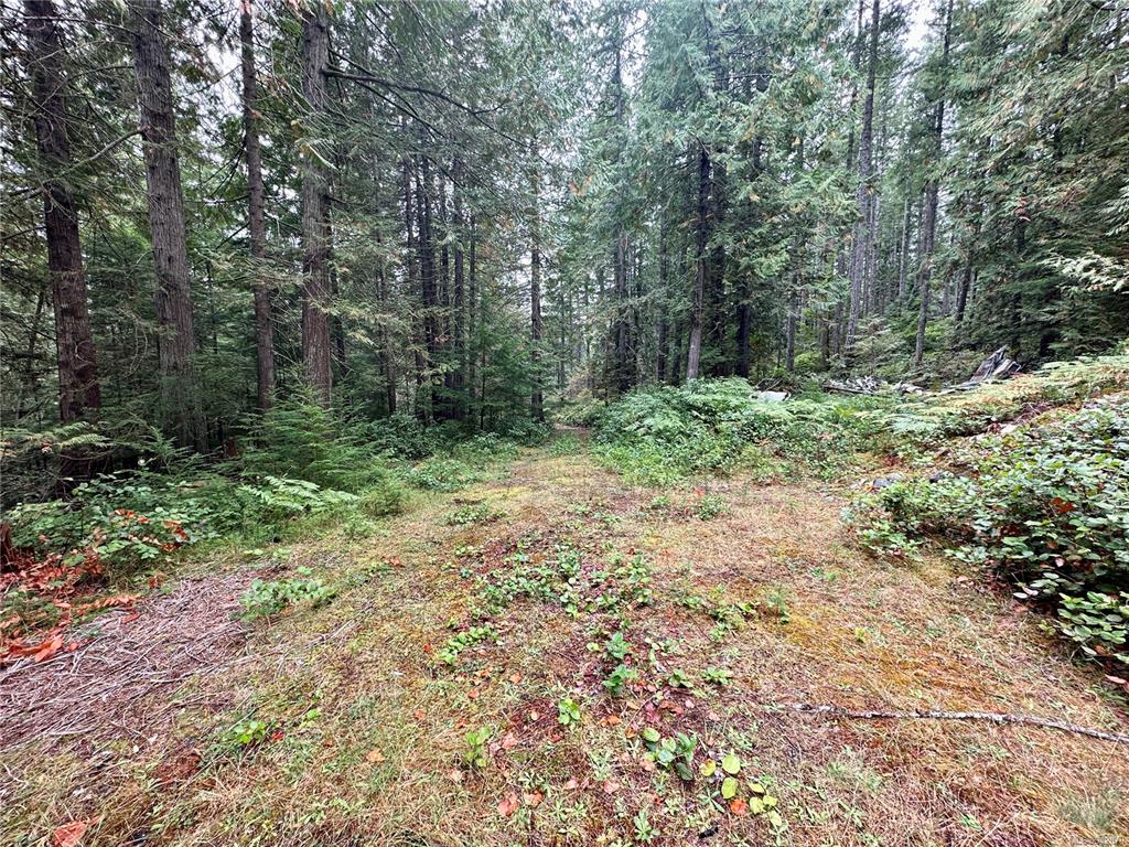 700 Whaletown Road, Cortes Island, BC, V0P 1Z0 - 21