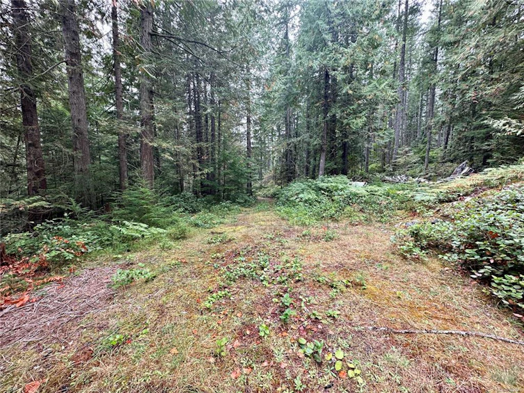 700 Whaletown Road, Cortes Island, BC, V0P 1Z0 - 21