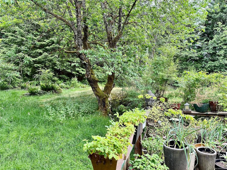 1498 Carrington Bay Road, Cortes Island, BC, V0P 1Z0 - 26