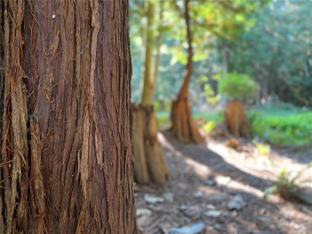 Lt 16 Sitka Grove