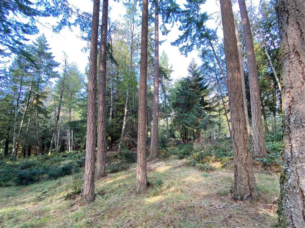 Lt 18 Sitka Grove, Gabriola Island, BC, V0R 1X1 - 7
