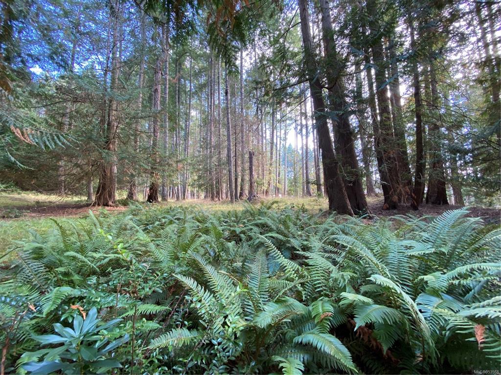 Lt 18 Sitka Grove, Gabriola Island, BC, V0R 1X1 - 8