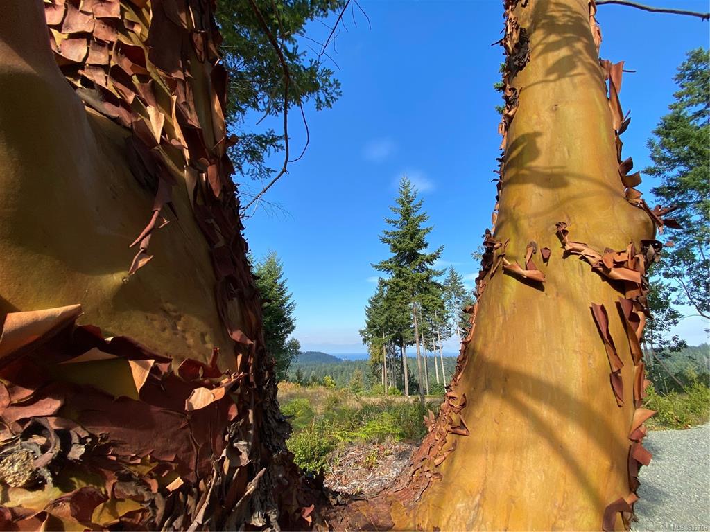 Lt 4 Spruce Avenue, Gabriola Island, BC, V0R 1X3 - 14