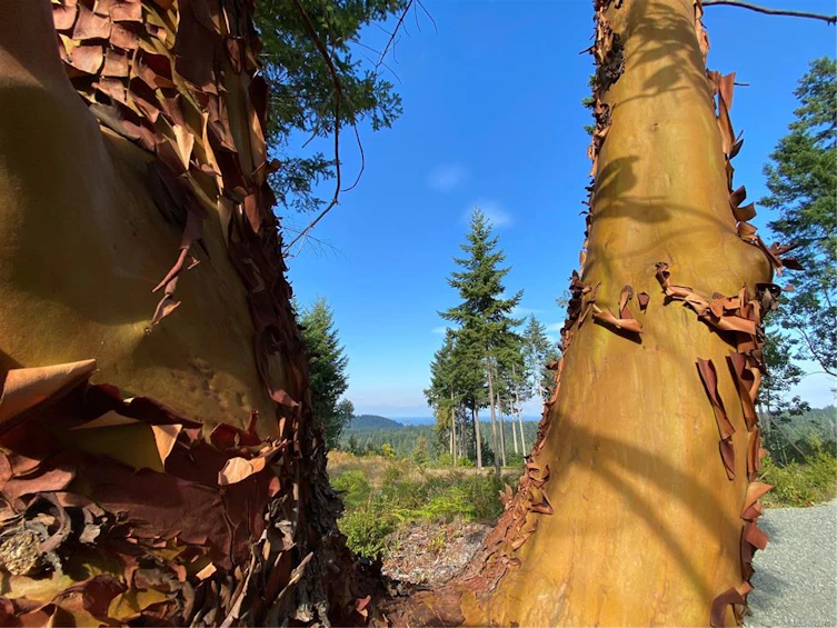 Lt 4 Spruce Avenue, Gabriola Island, BC, V0R 1X3 - 14