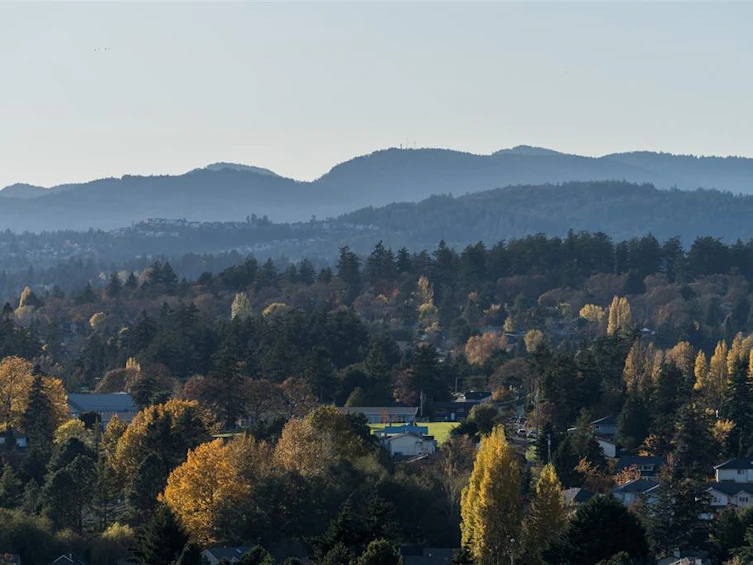 PH804-4011 Rainbow Hill Lane, Saanich, BC, V8X 0B3 - 24