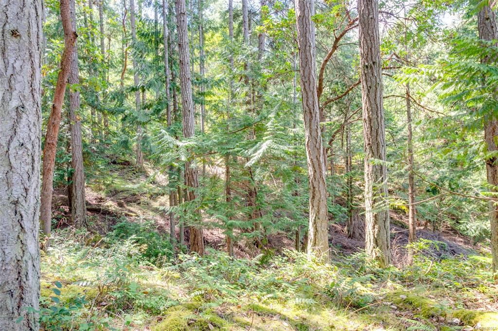 589 Waugh Road, Mayne Island, BC, V0N 2J1