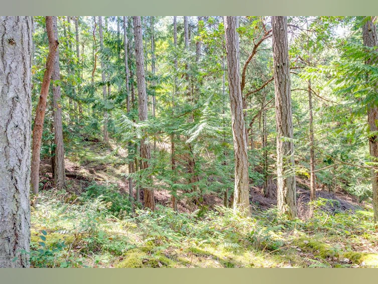 589 Waugh Road, Mayne Island, BC, V0N 2J1