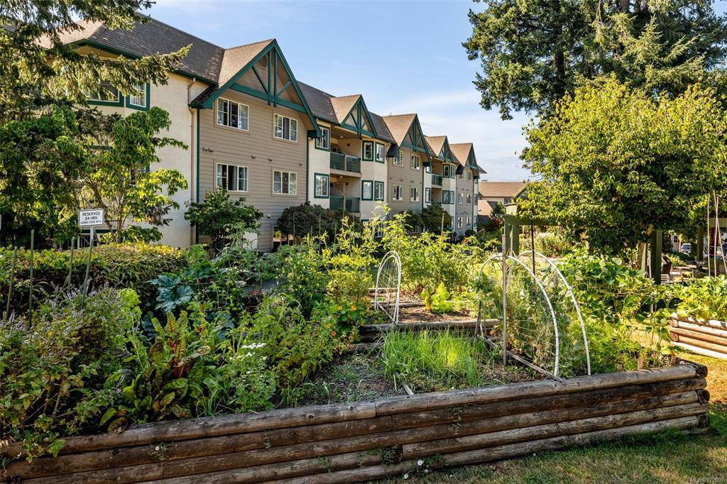 312-290 Island Highway, View Royal, BC, V9B 1G5 - 4