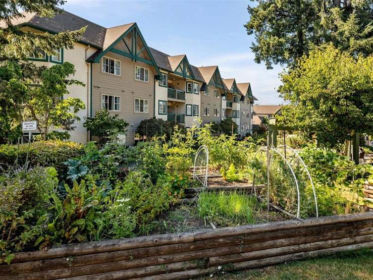 312-290 Island Highway, View Royal, BC, V9B 1G5 - 4