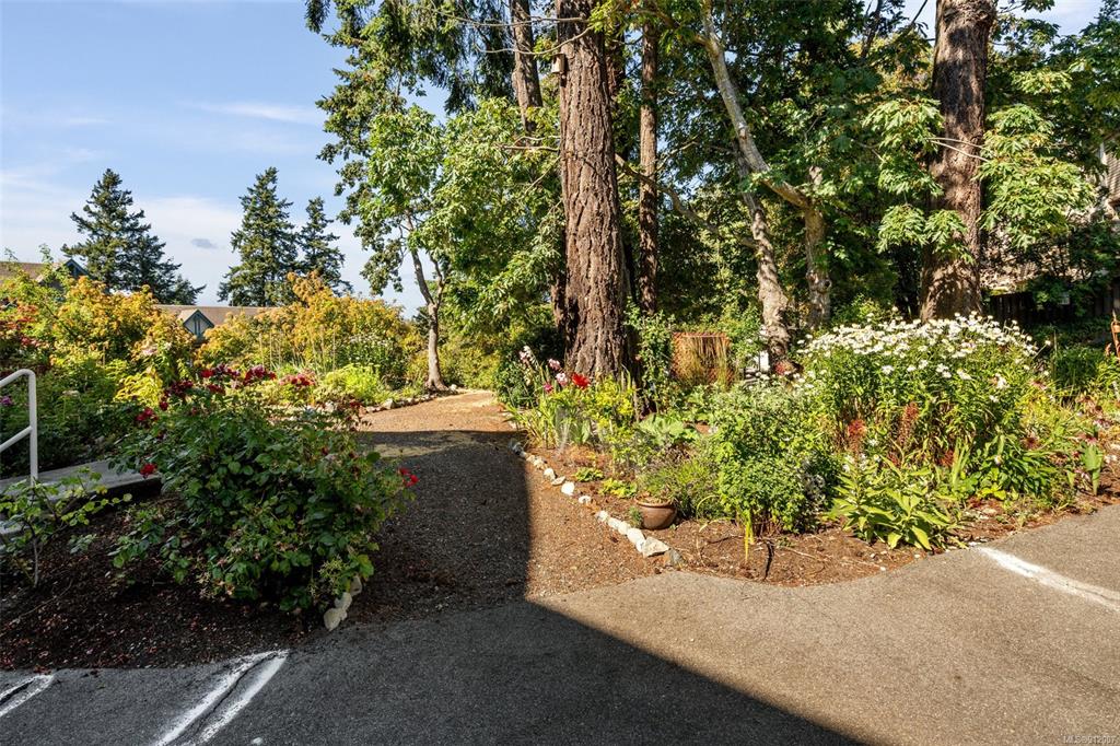 312-290 Island Highway, View Royal, BC, V9B 1G5 - 7