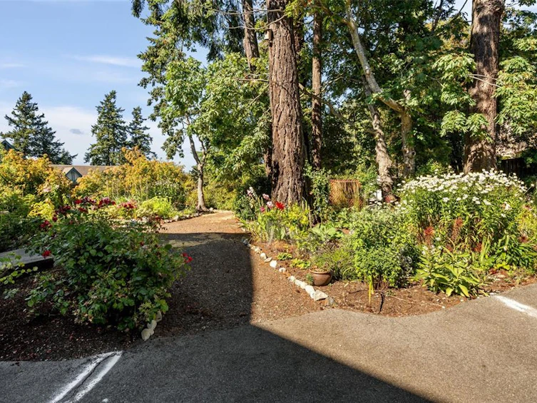 312-290 Island Highway, View Royal, BC, V9B 1G5 - 7