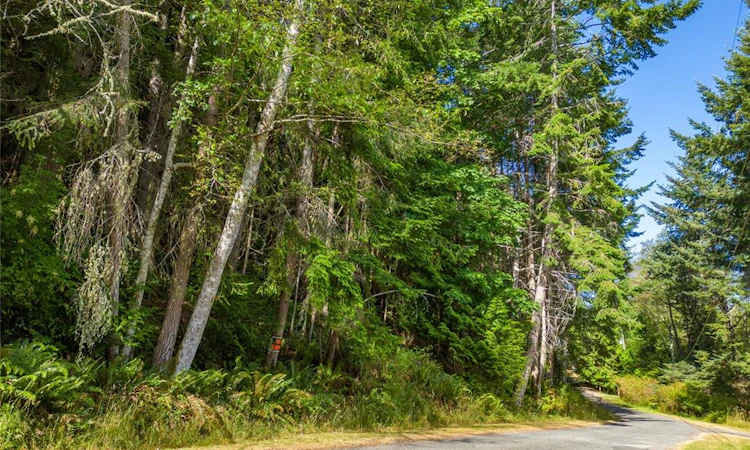 Lot A Boundary Pass Drive