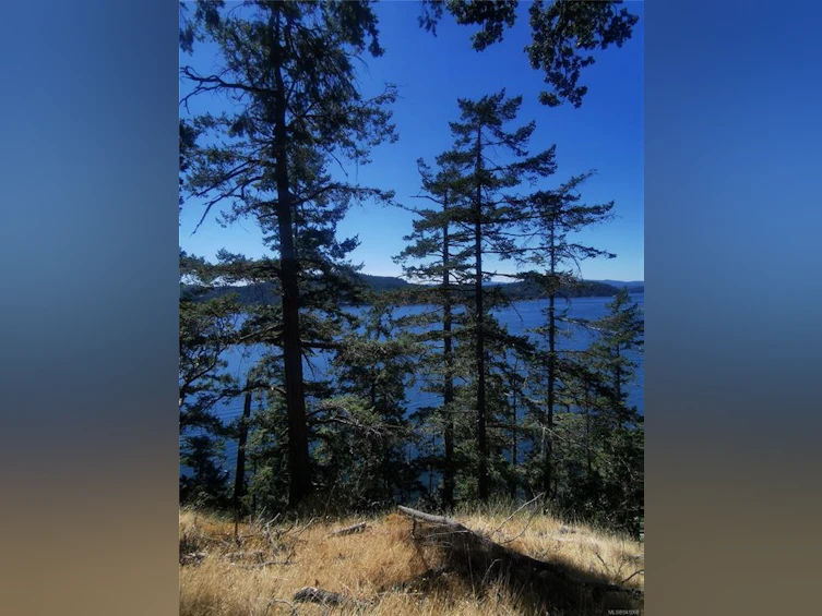 Lot 9 Beechwood Drive, Mayne Island, BC, V0N 2J2