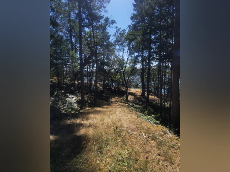 Lot 9 Beechwood Drive, Mayne Island, BC, V0N 2J2 - 5