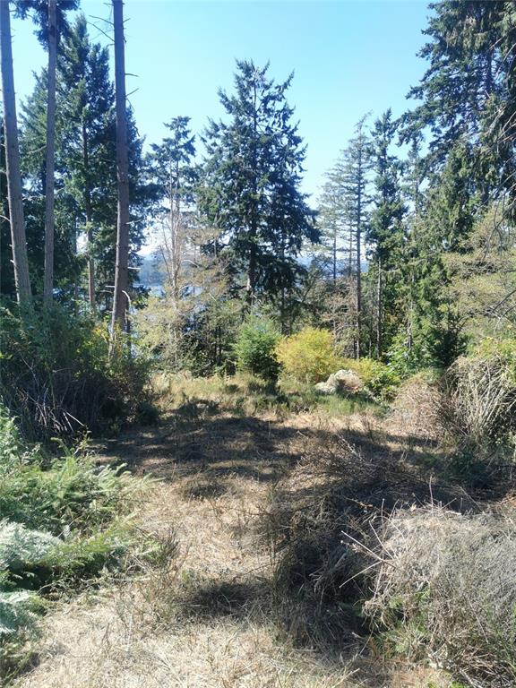 Lot 9 Beechwood Drive, Mayne Island, BC, V0N 2J2 - 6