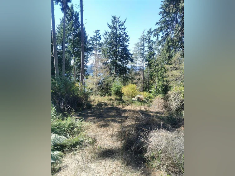 Lot 9 Beechwood Drive, Mayne Island, BC, V0N 2J2 - 6