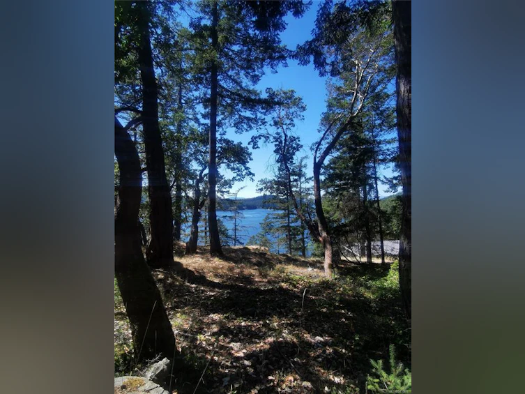 Lot 9 Beechwood Drive, Mayne Island, BC, V0N 2J2 - 7