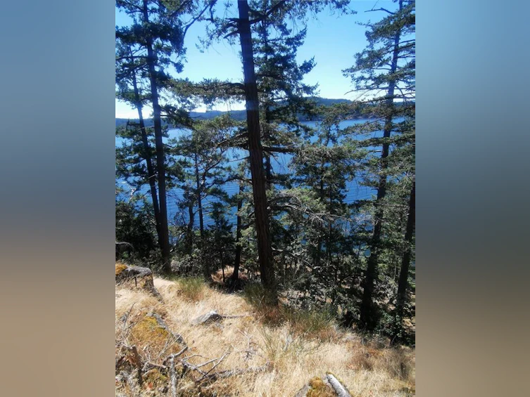 Lot 9 Beechwood Drive, Mayne Island, BC, V0N 2J2 - 8