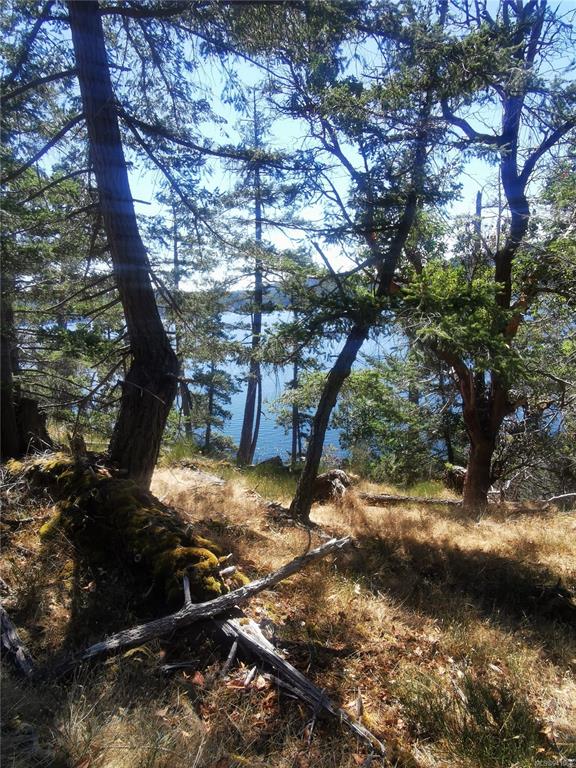 Lot 9 Beechwood Drive, Mayne Island, BC, V0N 2J2 - 10