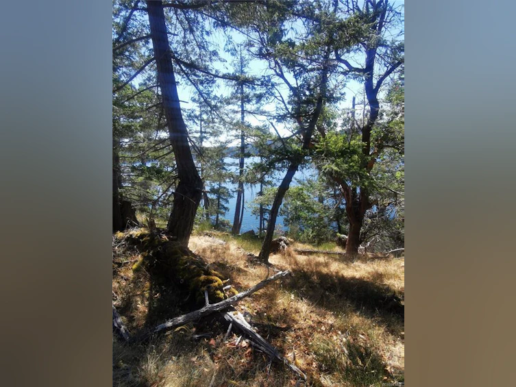 Lot 9 Beechwood Drive, Mayne Island, BC, V0N 2J2 - 10