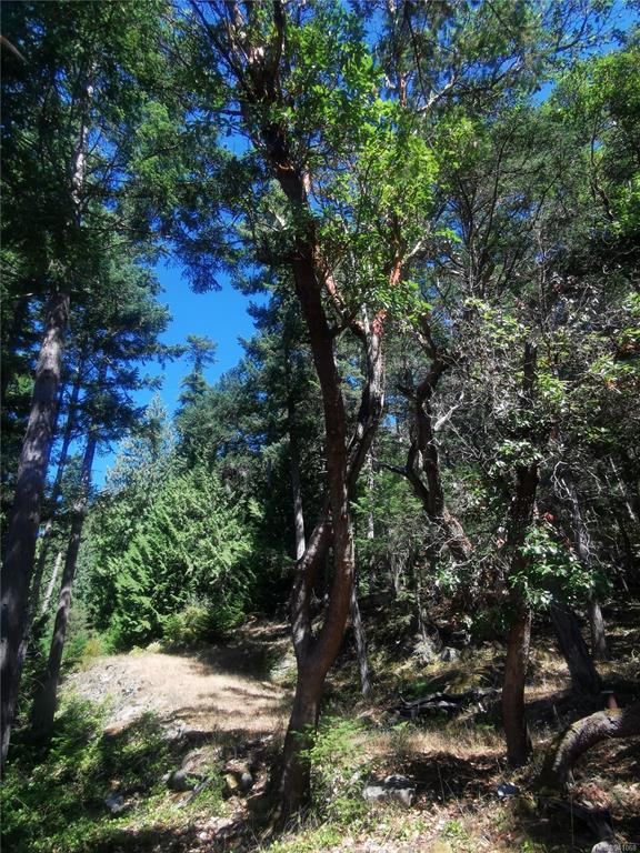Lot 9 Beechwood Drive, Mayne Island, BC, V0N 2J2 - 13