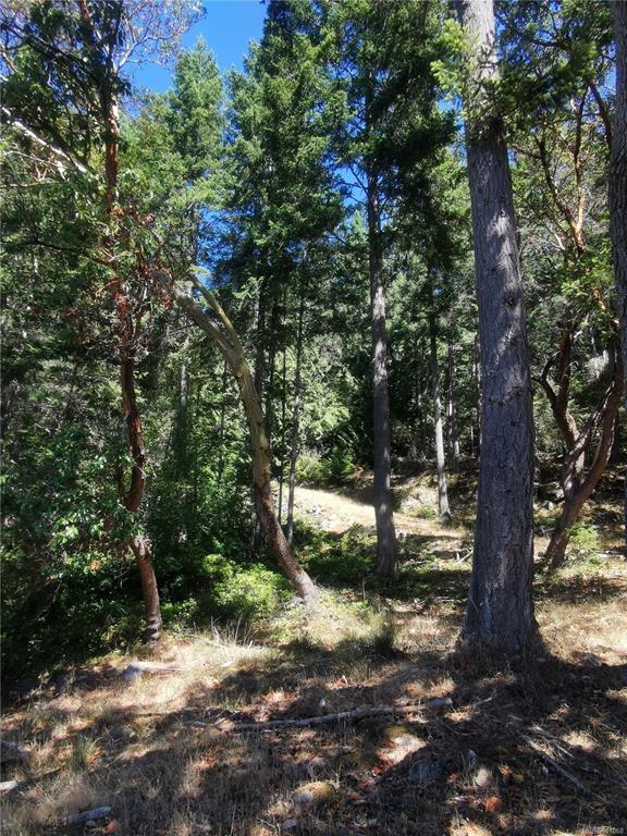 Lot 9 Beechwood Drive, Mayne Island, BC, V0N 2J2 - 14