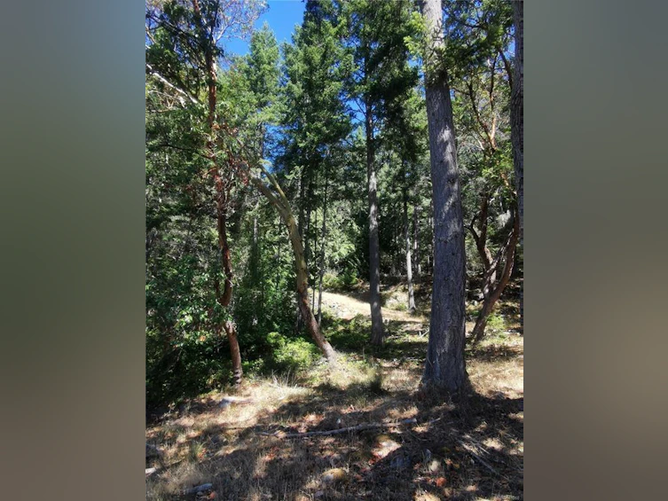 Lot 9 Beechwood Drive, Mayne Island, BC, V0N 2J2 - 14