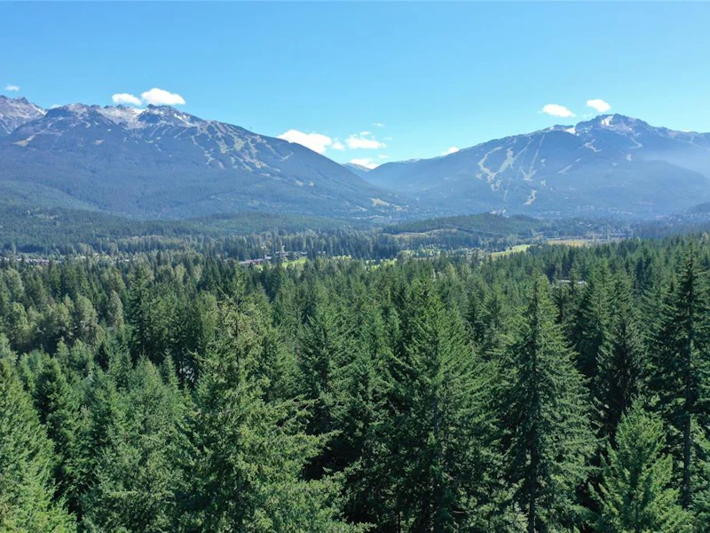 8296 Mountain View Drive, Whistler BC V0N 1B8